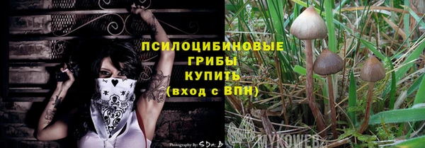 а пвп мука Инсар