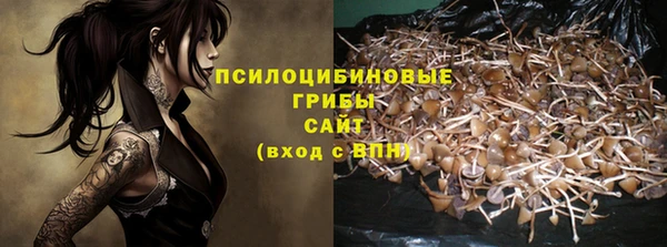 дурь Каменногорск